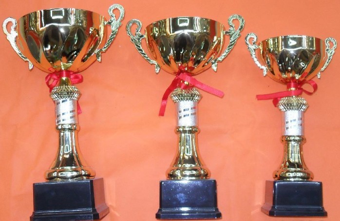 徽雪企業(yè)獎(jiǎng)杯